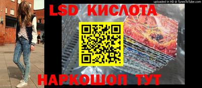 шишки Донской