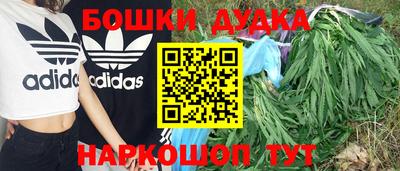 шишки Донской