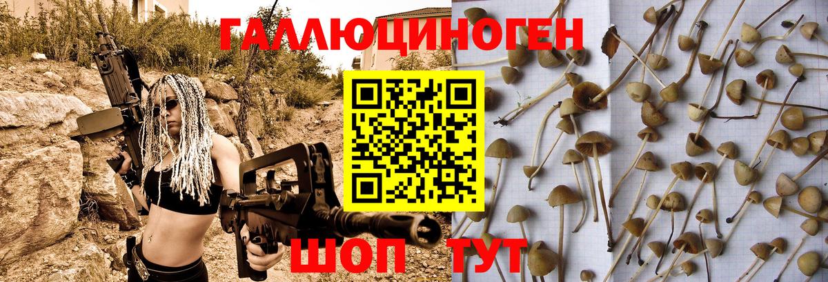 Галлюциногенные грибы GOLDEN TEACHER  Вход с VPN  Михайловка 