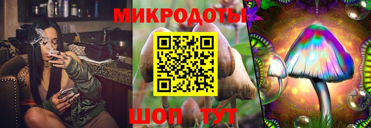 Галлюциногенные грибы мицелий Михайловка